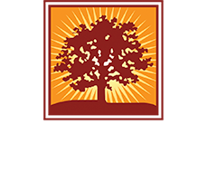 Emissaries Of Divine Light