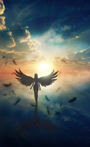 What Angels Know