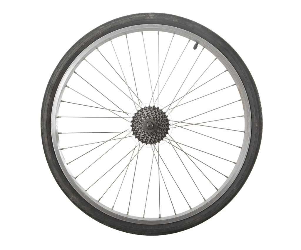 The Wheel of Life - Emissaries Of Divine Light